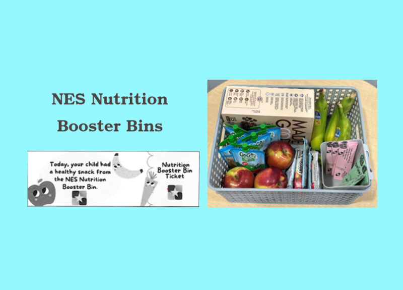 NES Nutrition Booster Bins