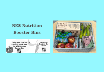 NES Nutrition Booster Bins